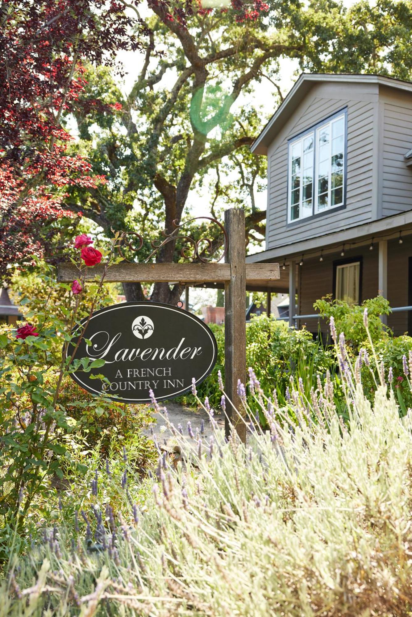 Lavender, A Four Sisters Yountville