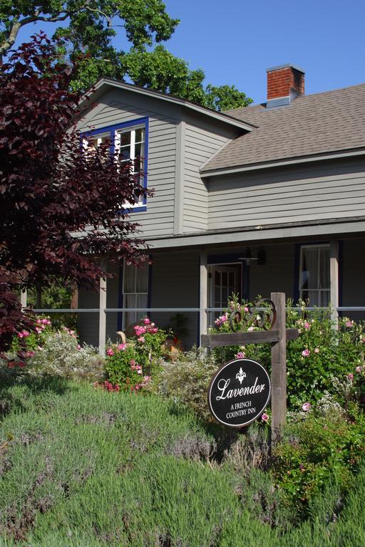 Lavender, A Four Sisters Yountville