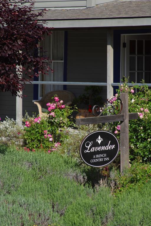 Hotel Lavender, A Four Sisters 3*