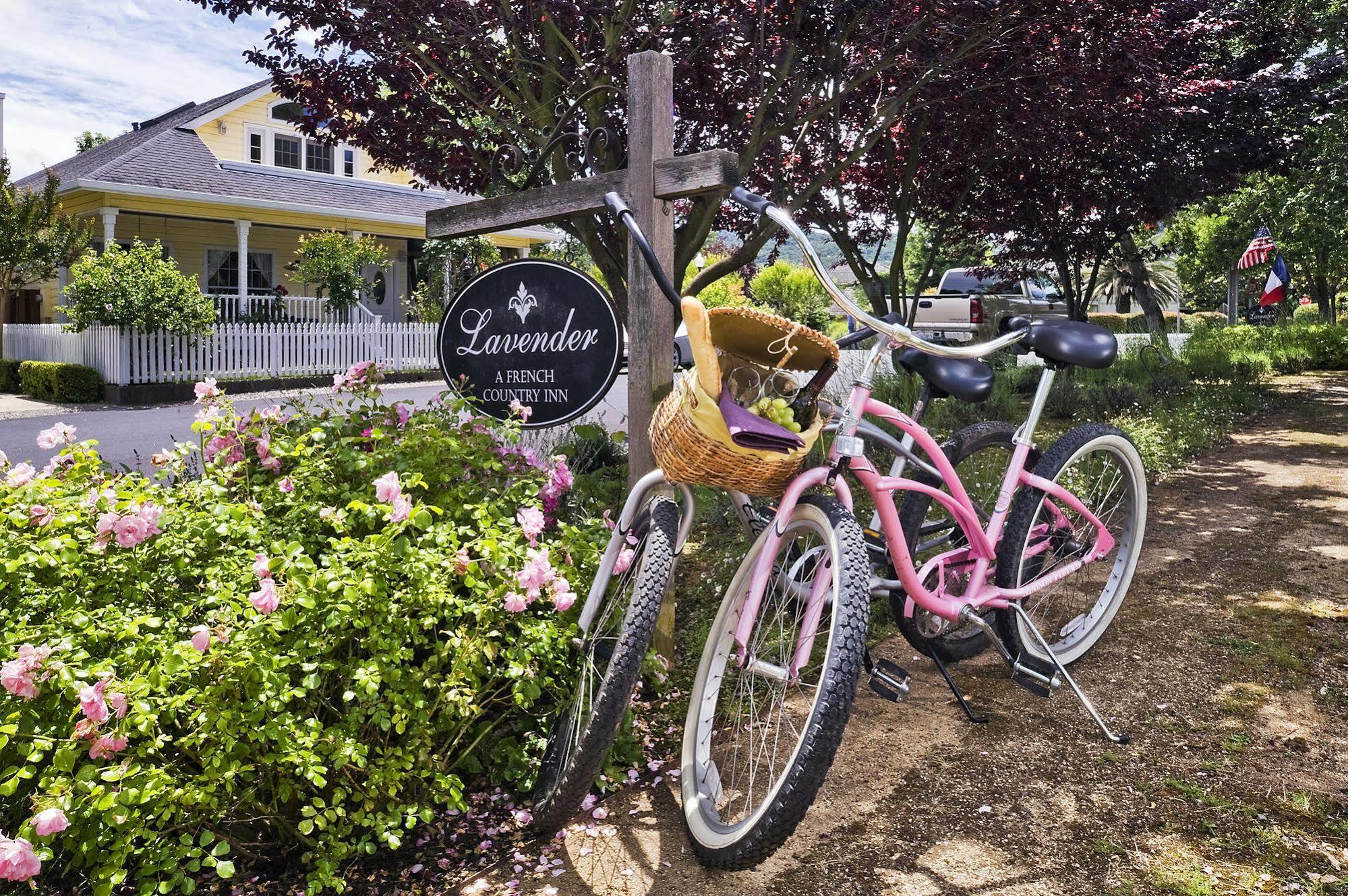 Lavender, A Four Sisters Yountville